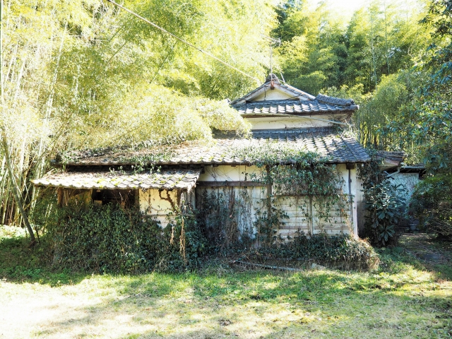 空き家やゴミ屋敷
